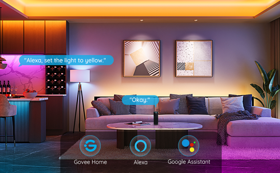 govee home google assistant