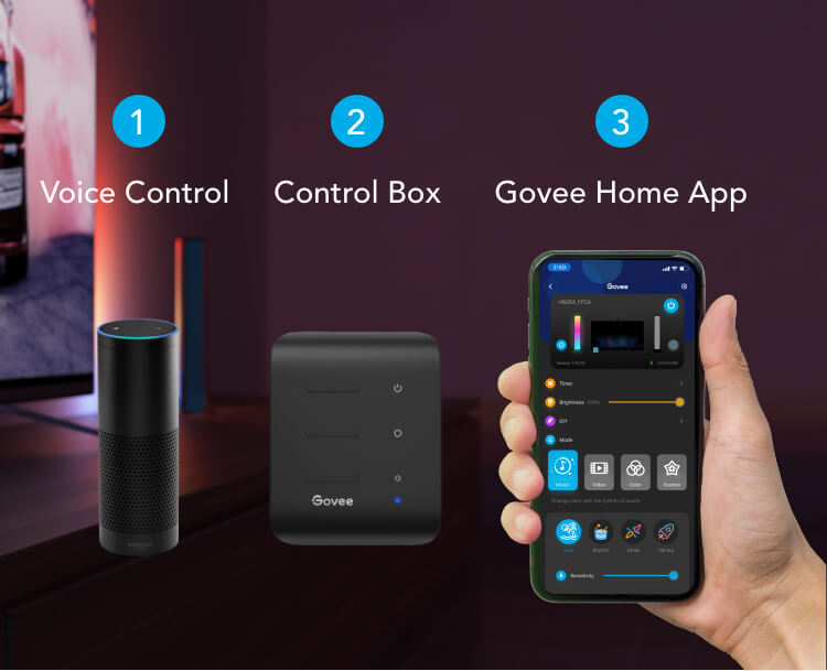 Govee Making Life Smarter