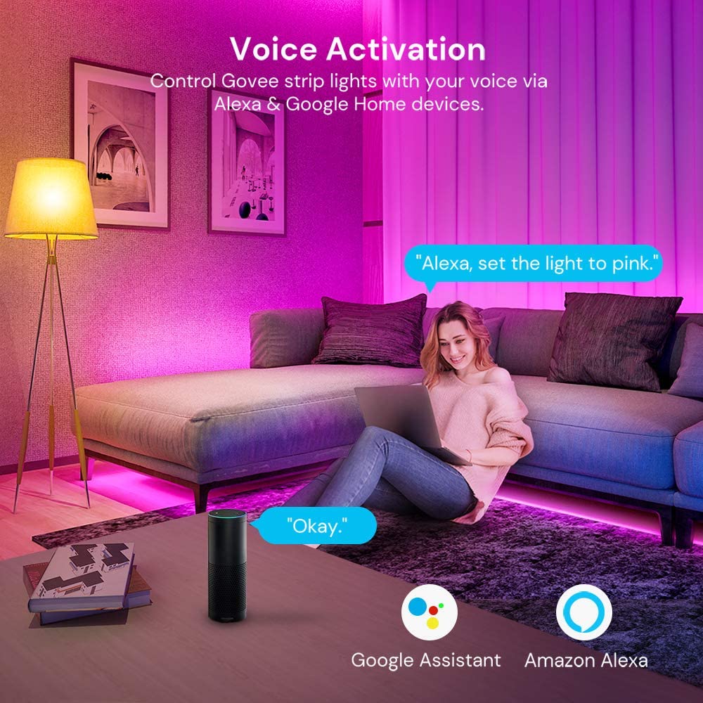 govee home google assistant